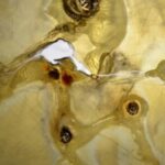 A Foligno prorogata la mostra “Costellazioni. Tutto il cielo possibile”