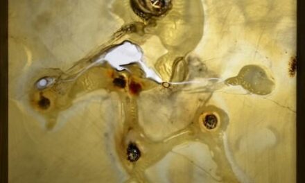 A Foligno prorogata la mostra “Costellazioni. Tutto il cielo possibile”