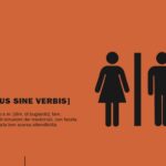 “Illustrazioni per lʼuso”, Maurizio Ceccato in mostra